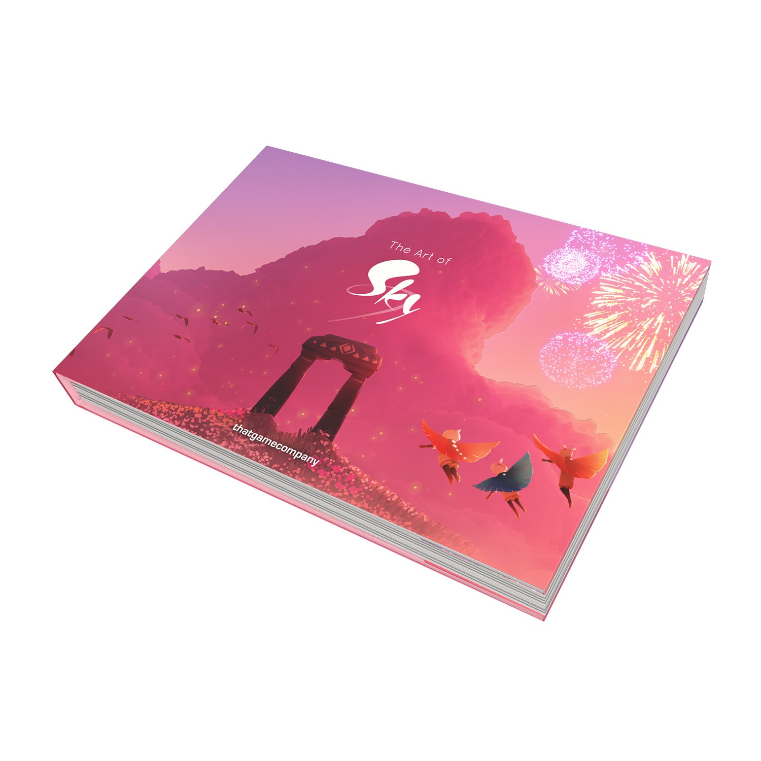 The Art of Sky アートブック The Art of Sky: Gratitude to Nesting (2019–2024) – thatskyshop