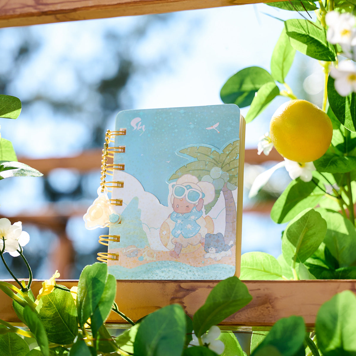 Sky Notebook - Summer Moments